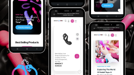 Adult Toyz website demonstration. theinternetguy.online